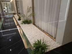 -铂诗玥医美