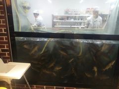 -肥鱼屯活鱼锅(惠工街店)