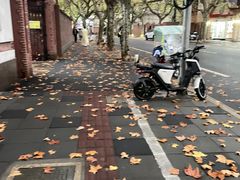 -大宅设计设计店铺(浦东店)