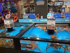 水产区-盒马鲜生(皇庭广场店)