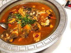 仙岛湖大鱼头-鱼乐岛餐厅·户外花园主题餐厅