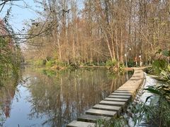 -桤木河湿地公园