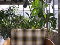 -腾爱熊猫咖啡生活馆(老东门店)