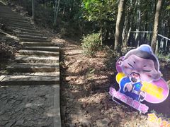 -上海佘山国家森林公园天马山园