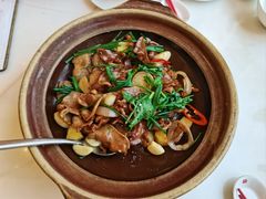 -顺味凤城·顺德菜专门店(九六广场店)