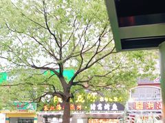 -段氏龙虾·烧烤·烤鱼(东书房路店)