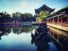 -MAP CHA普洱茶馆(翠湖店)