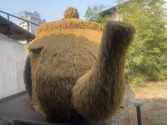 -柴米油盐(土菜院子店)