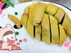 特色白切草母鸡-新名仕新白玉兰餐厅