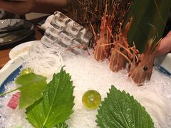 -旨味Umami_融合料理(万博汇店)