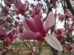 -永定河休闲森林公园