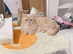 -乐乐餐厅(湘子庙街店)