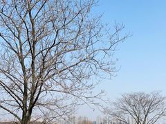 -盘龙城国家考古遗址公园