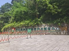 -野象谷景区