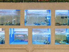 水产区-皇朝尊会(龙之梦大酒店)