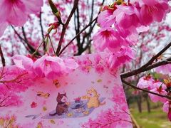 -梁鸿国家湿地公园