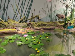 -阿哈湖国家湿地公园