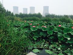 -永定河休闲森林公园