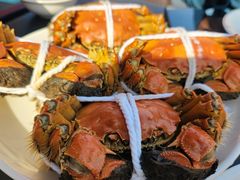 -品鲜村农家菜·阳澄湖大闸蟹(总店)