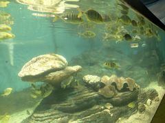 -北戴河圣蓝海洋公园