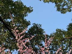 -天鹅湖体育公园