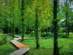 -国家植物园南园