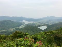 -大姆山草场