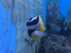 -常州海昌海洋探索馆