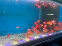 -顺德南宏海立方海洋公园