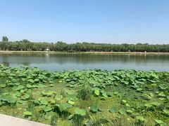-素心小筑(后沙裕镇店)