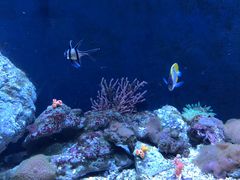 -成都浩海立方海洋公园