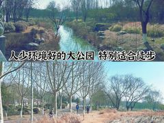 -西安世博园