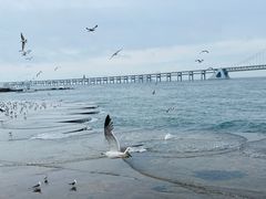 -星海广场