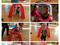 -红黄蓝幼儿园(富苑华城园)