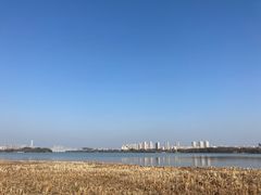 -长广溪湿地公园