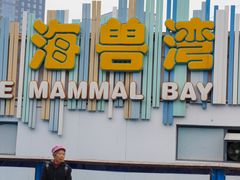 -海合安成都极地海洋公园