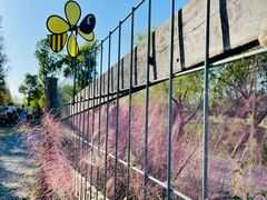 -前小桔亲子创意农场·草莓采摘·露营烧烤