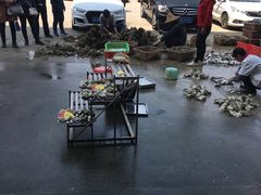 -蚝专家(北滘店)