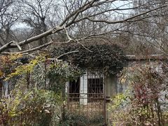 -南京市江宁方山