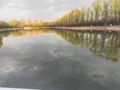 -森林公园(尖草坪区)