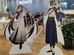 -Sony Store 索尼(来福士店)