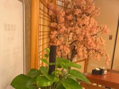 -汤泉良子.足疗按摩.SPA(中关村店)