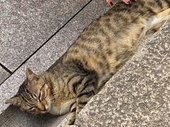 -龙华寺