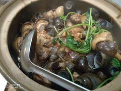 -食爺炭炉鸡煲·烧烤