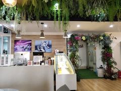 -Husky Go! 哈士奇体验馆·宠物咖啡厅狗咖