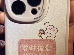 -Apple零售店(苏州店)
