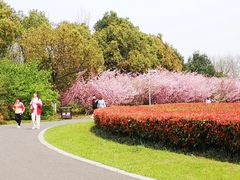 -九里河湿地公园