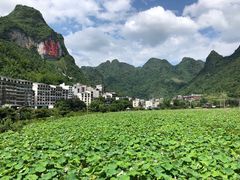 -长寿村