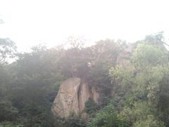 -北京鹫峰国家森林公园