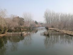 -溱湖国家湿地公园